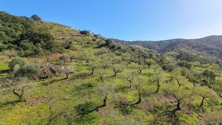 Solar en venta en Casco Antiguo en Marbella