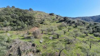 Solar en venta en Casco Antiguo en Marbella