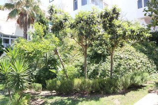Piso en venta en Casco Antiguo en Marbella