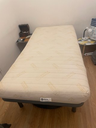 Cama articulada robusta motor Dewert
