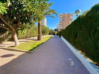 Piso en alquiler en Playa de San Juan en Alicante