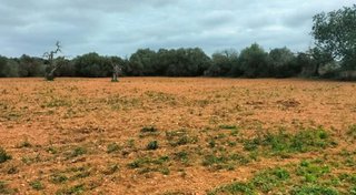 Terreno en venta en Llucmajor Interior en Llucmajor