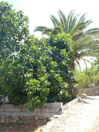 Chalet en alquiler en Ronda