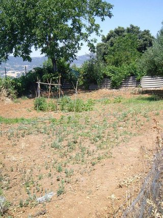 Chalet en alquiler en Ronda