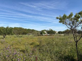 Terreno en venta en Ciudad Rodrigo
