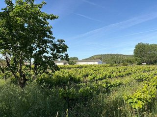 Terreno en venta en Ciudad Rodrigo