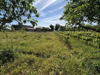 Terreno en venta en Ciudad Rodrigo