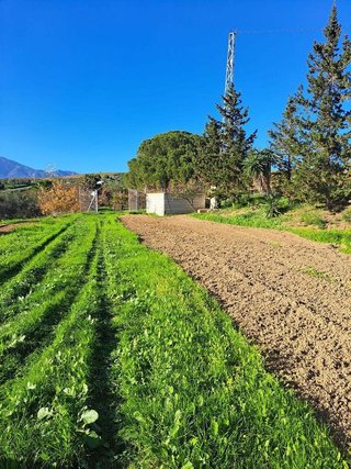 Solar en venta en Centro Histórico en Málaga