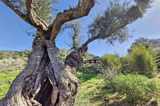 Casa rural en venta en Coín