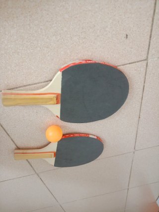 Raquetas palas Ping Pong y Pelota