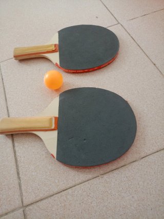 Raquetas palas Ping Pong y Pelota