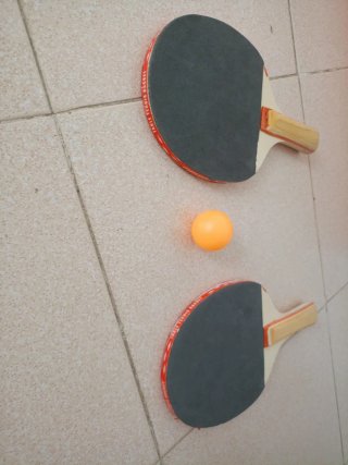 Raquetas palas Ping Pong y Pelota