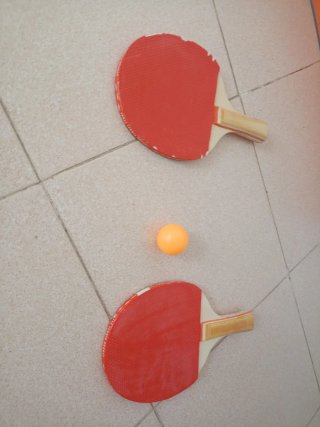 Raquetas palas Ping Pong y Pelota
