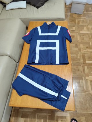 Traje Cosplay My Hero Academia