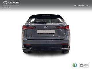 Lexus NX 2.5 300h Premium 2WD