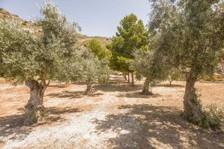 Solar en venta en Coín