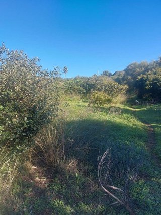Casa rural en venta en Centro Urbano en Estepona