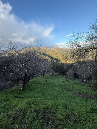 Solar en venta en Casco Antiguo en Marbella