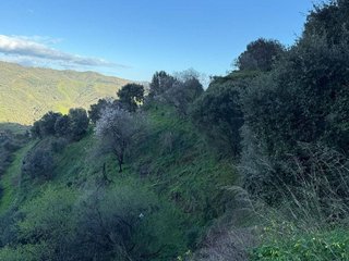 Solar en venta en Casco Antiguo en Marbella