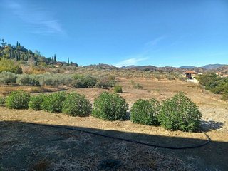 Casa rural en venta en Coín