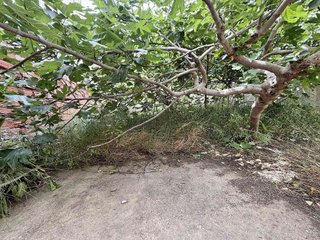 Terreno en venta en San Luis en Almería