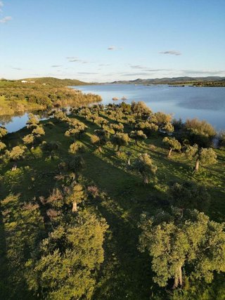 Solar en venta en Peñarroya-Pueblonuevo