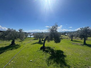 Solar en venta en Peñarroya-Pueblonuevo