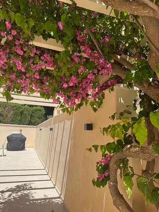 Chalet en alquiler en Cerrado Calderón - El Morlaco en Málaga