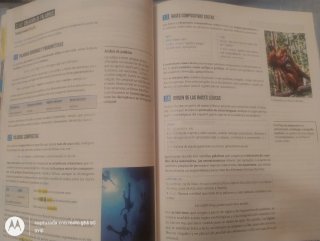 Lengua castellana y literatura 4 Secundaria