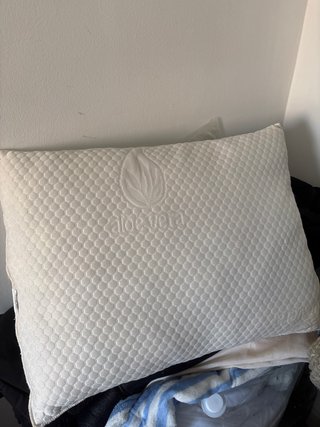 Almohada Aloe Vera