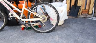 Bicicleta infantil Stylin Avigo