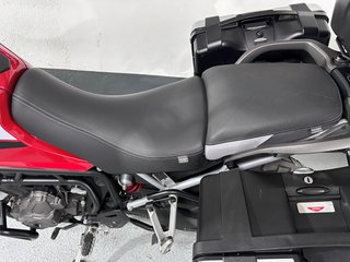 Triumph Tiger 900 GT Pro