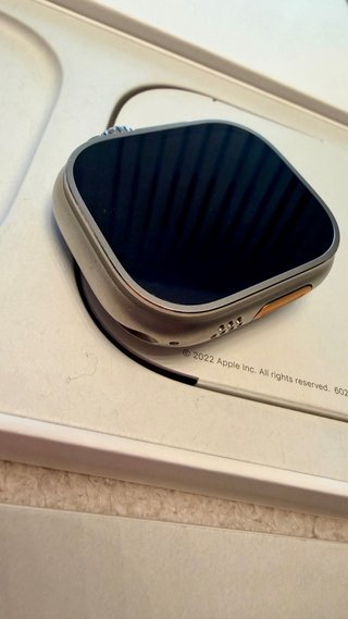 Apple Watch Ultra Gris/Plata