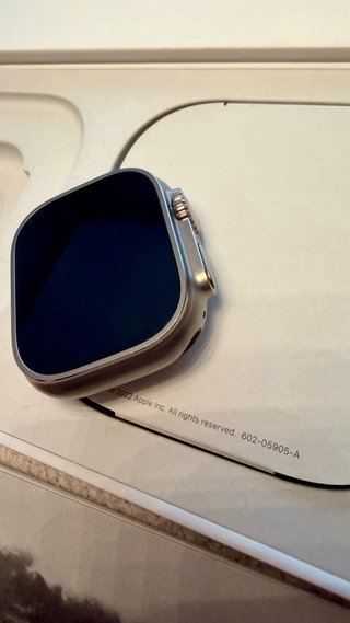 Apple Watch Ultra Gris/Plata