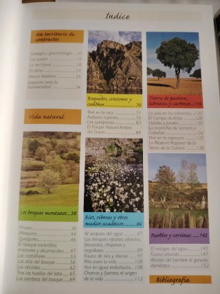 ALISTE, TÁBARA Y ALBA GUIAS