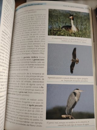 ALISTE, TÁBARA Y ALBA GUIAS