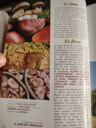 ALISTE, TÁBARA Y ALBA GUIAS