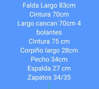 Lote traje de fallera completo