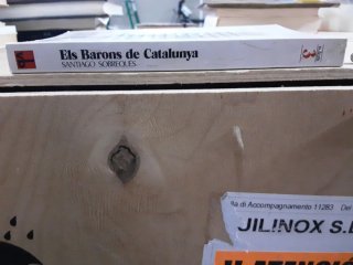 Els barons de Catalunya