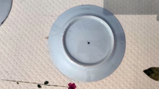 3 Platos Porcelana Japonesa Moriage, más 100 años