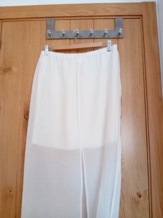 Falda Zara Transparencias