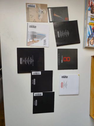 Manuales Nintendo DS