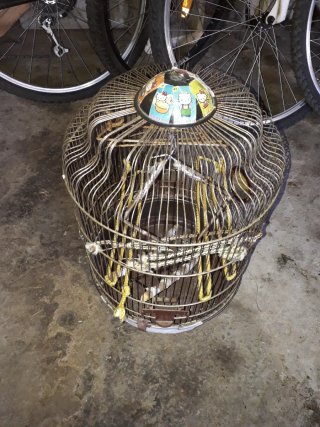 Dos jaulas para pájaros
