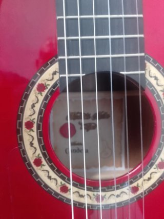 Guitarra flamenca autoamplificada