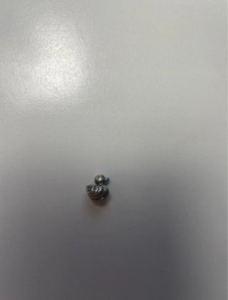 Charm Pandora Pato Plata
