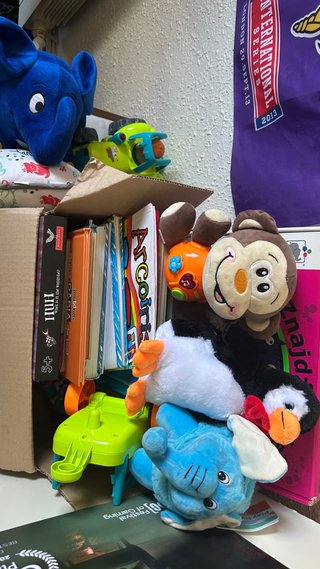 Lote libros y peluches de regalo