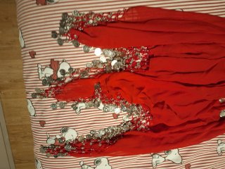 Conjunto Danza Vientre Rojo y Plateado