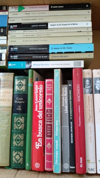 Lote de Libros 1
