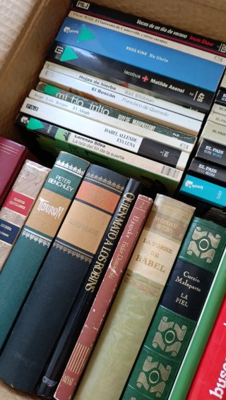 Lote de Libros 1