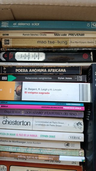 Lote de Libros 2